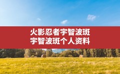 火影忍者宇智波斑(宇智波斑个人资料)