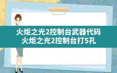 火炬之光2控制台武器代码(火炬之光2控制台打5孔)