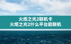 火炬之光2联机卡,火炬之光2什么平台能联机