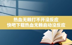 热血无赖打不开没反应,快吧下载热血无赖启动没反应