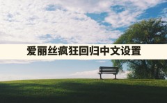 爱丽丝疯狂回归中文设置