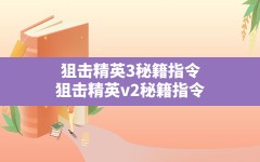 狙击精英3秘籍指令,狙击精英v2秘籍指令