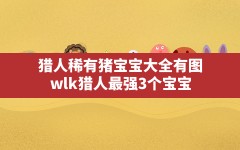 猎人稀有猪宝宝大全有图,wlk猎人最强3个宝宝