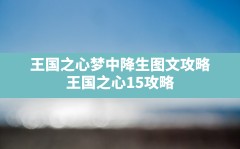 王国之心梦中降生图文攻略,王国之心1.5攻略