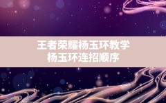 王者荣耀杨玉环教学(杨玉环连招顺序321a什么意思)