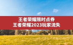 王者荣耀限时点券(王者荣耀2023玩家流失)