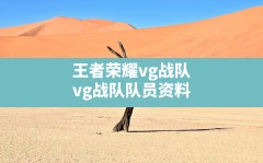 王者荣耀vg战队(vg战队队员资料)