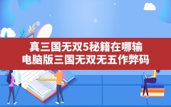 真三国无双5秘籍在哪输,电脑版三国无双无五作弊码