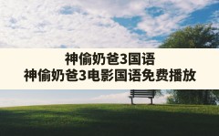 神偷奶爸3国语,神偷奶爸3电影国语免费播放