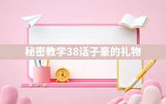 秘密教学38话子豪的礼物