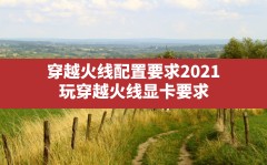 穿越火线配置要求2021,玩穿越火线显卡要求