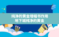 纯净的黄金增幅书作用,地下城纯净的黄金增幅书有什么作用