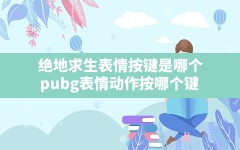 绝地求生表情按键是哪个,pubg表情动作按哪个键