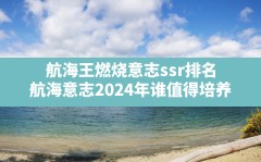 航海王燃烧意志ssr排名,航海意志2024年谁值得培养