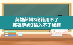 英雄萨姆3秘籍用不了,英雄萨姆3输入不了秘籍