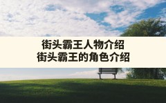 街头霸王人物介绍,街头霸王的角色介绍