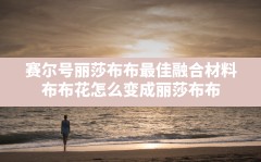 赛尔号丽莎布布最佳融合材料,布布花怎么变成丽莎布布