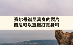 赛尔号谱尼真身的裂片(谱尼可以直接打真身吗)