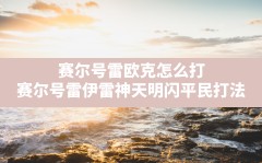 赛尔号雷欧克怎么打(赛尔号雷伊雷神天明闪平民打法)