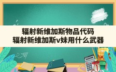 辐射新维加斯物品代码,辐射新维加斯v妹用什么武器