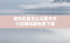 迷你忍者怎么设置中文,小忍模拟器免费下载