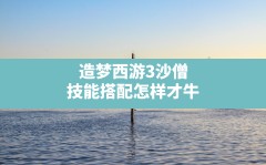 造梦西游3沙僧技能搭配怎样才牛(造梦西游3沙僧技能最强搭配)