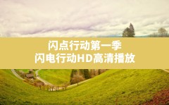 闪点行动第一季(闪电行动HD高清播放)