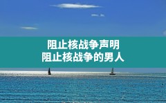 阻止核战争声明(阻止核战争的男人)