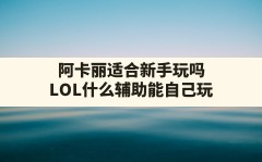 阿卡丽适合新手玩吗,LOL什么辅助能自己玩