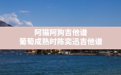 阿猫阿狗吉他谱(葡萄成熟时陈奕迅吉他谱)