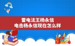 雷电法王杨永信,电击杨永信现在怎么样