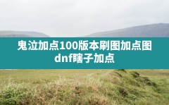 鬼泣加点100版本刷图加点图,dnf瞎子加点