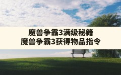 魔兽争霸3满级秘籍(魔兽争霸3获得物品指令)