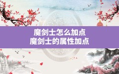 魔剑士怎么加点(魔剑士的属性加点)