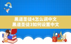 黑道圣徒4怎么调中文(黑道圣徒3如何设置中文)