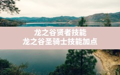 龙之谷贤者技能,龙之谷圣骑士技能加点