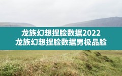 龙族幻想捏脸数据2022,龙族幻想捏脸数据男极品脸