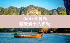 0adc大驾光临未满十八岁5g