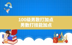 100级男散打加点,男散打技能加点