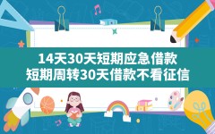 14天30天短期应急借款,短期周转30天借款不看征信