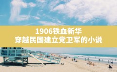 1906铁血新华,穿越民国建立党卫军的小说