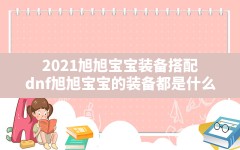 2021旭旭宝宝装备搭配(dnf旭旭宝宝的装备都是什么)