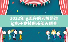 2022年ig现在的老板是谁(ig电子竞技俱乐部天眼查)