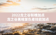 2022龙之谷斩魄加点(龙之谷黑暗复仇者技能加点)