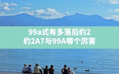 99a式有多落后豹2(豹2A7与99A哪个厉害)