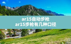 ar15自动步枪,ar15步枪有几种口径