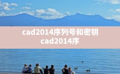 cad2014序列号和密钥(cad2014序列号和密钥激活码)