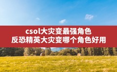 csol大灾变最强角色,反恐精英大灾变哪个角色好用