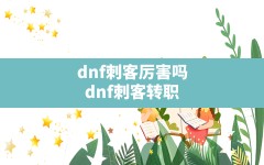 dnf刺客厉害吗(dnf刺客转职)