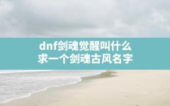 dnf剑魂觉醒叫什么,求一个剑魂古风名字